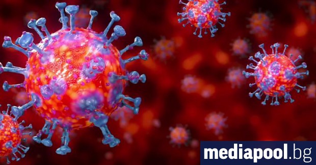 63 са новите случаи на коронавирус в България при направени