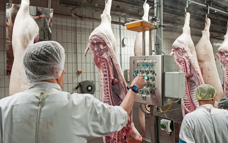 "Максимална експлоатация": истинската цена за любовта на Германия към месото