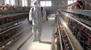 До 7 хил. евро за българските ферми, пострадали от коронавирус