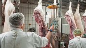 "Максимална експлоатация": истинската цена за любовта на Германия към месото
