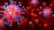 Чехия регистрира трети ден поред над 100 заразени с коронавируса