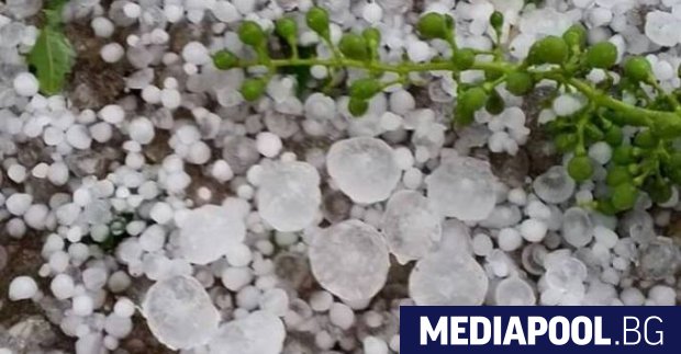 Кабинетът Борисов одобри в сряда нови 4 3 млн лв по