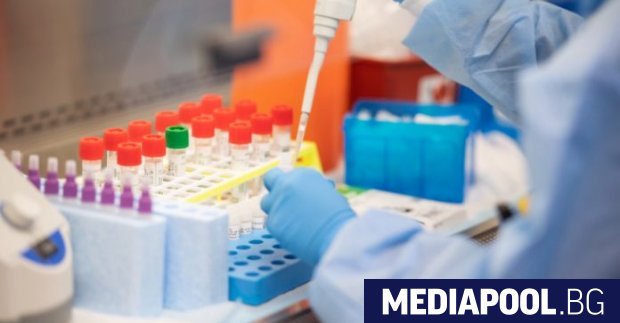 През изминалото денонощие са установени нови 115 случая на коронавирус