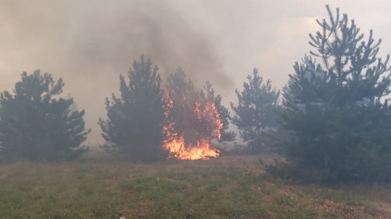 Нови пожари в Хасковско, избухналите преди дни са под контрол