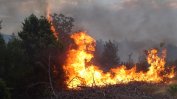 Горските пожари тази година – по-малко и с по-малко щети