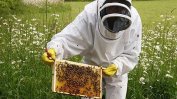Фонд "Земеделие" отпуска средства за пчелари и лозя