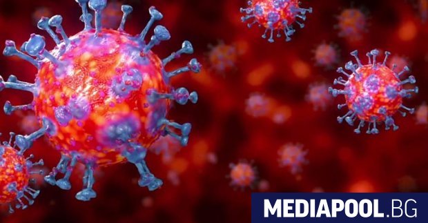 Първи случаи на повторно заразяване с новия коронавирус документираха лекари