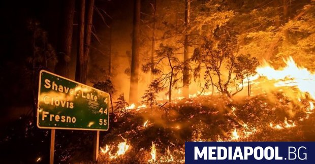 Най малко 96 големи горски пожара са обхванали площ от 1 375