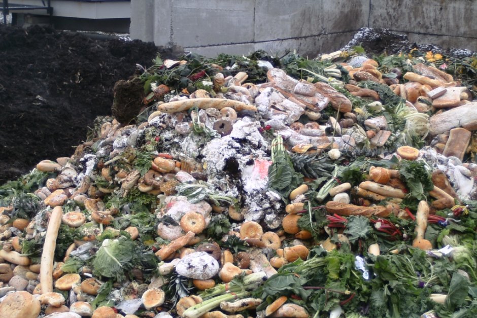 1000 домакинства в София ще събират разделно хранителни отпадъци