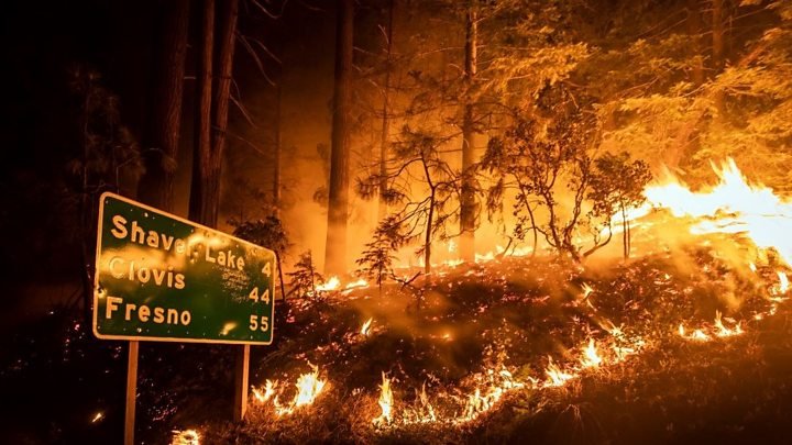 Близо 100 големи пожара бушуват в три западни американски щата