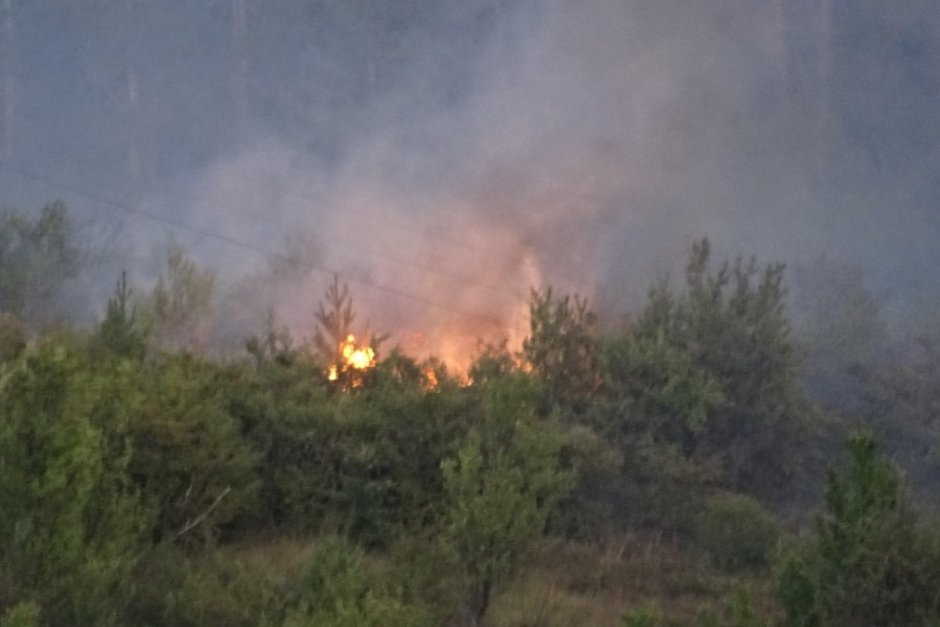Голям пожар гори край сливенското село Селиминово