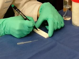 Нови 240 заразени в България, спада процентът на положителните тестове