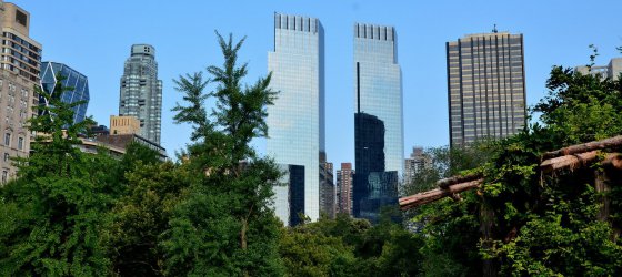 12 града от три континента пренасочват парите си от изкопаеми горива към позеленяване