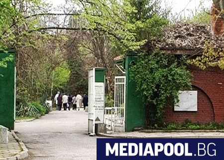 Министерството на здравеопазването планира реформа в психиатричната помощ която цели