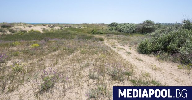 Нова порция невписани в кадастъра на пясъчните дюни в България