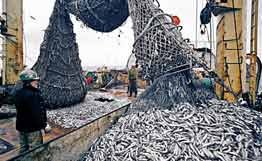 Правителството насочва повече европари за рибарски пристанища