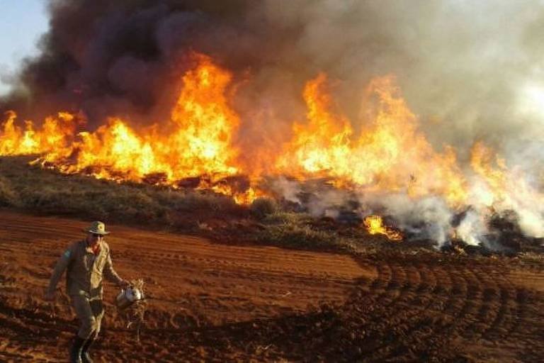 Бразилия обяви извънредно положение заради пожари в най-големите тресавища в света