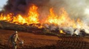 Бразилия обяви извънредно положение заради пожари в най-големите тресавища в света