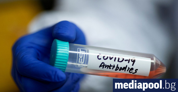 Хората заразени с Covid 19 развиват антитела които се запазват минимум