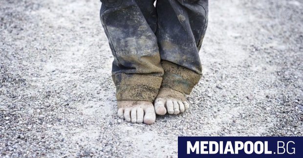 В скорошно изследване на ИПИ виж основните фактори за