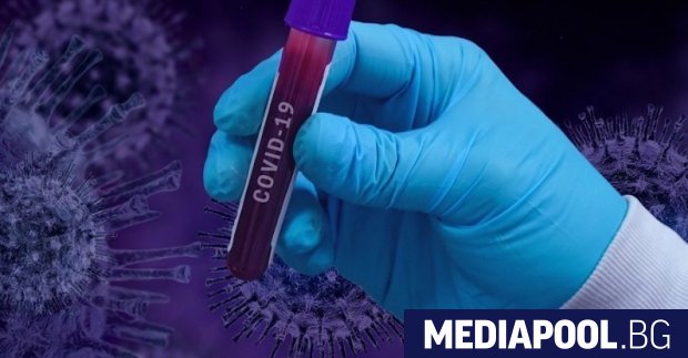 Малко но ключово британско изследване установи че клетъчният имунитет срещу