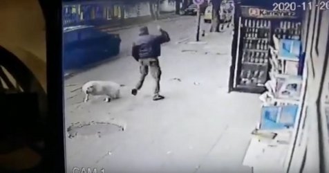 Арестуван е мъж, намушкал безобидно улично куче с нож