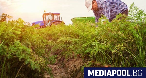 200 млн евро за възстановяване на българското земеделие ще получи