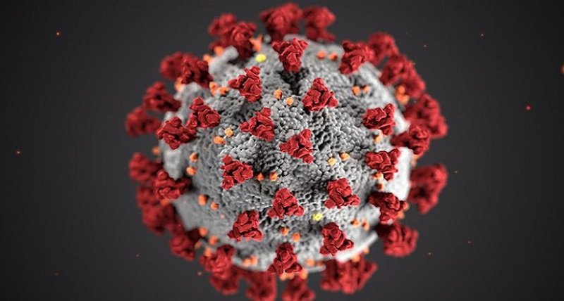 Новите случаи на коронавирус са 2301, починали са 56 души