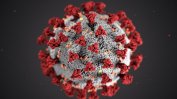 СЗО: Рекорден брой заразени с коронавируса за седмица - над 3,6 милиона души