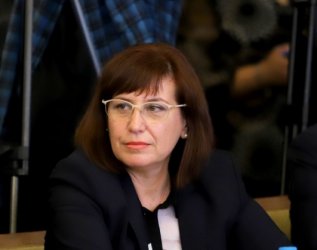 Теодора Точкова, БГНЕС