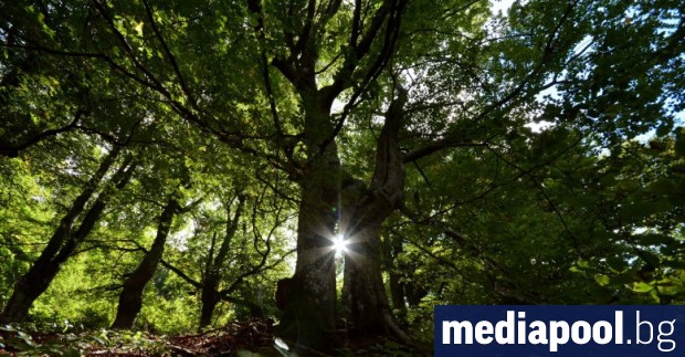 Италианската полиция откри мъж който изминал близо 400 километра за