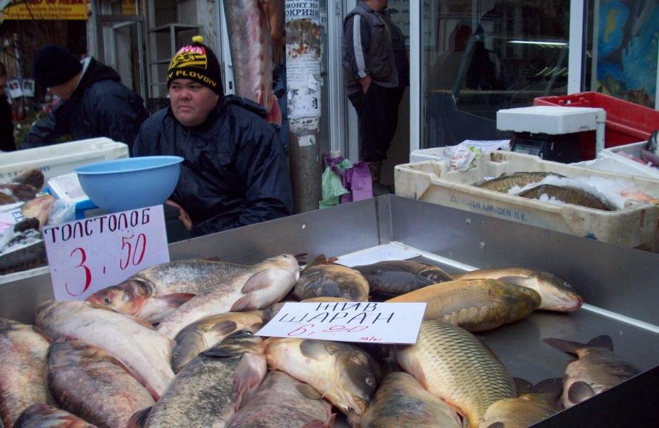 Агенцията по храните започва проверки на рибни борси заради Никулден