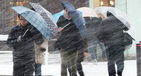 Над 500 полета са отменени в Япония заради снежна буря