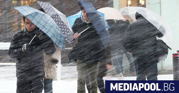 Поне 546 полета бяха отменени днес от японските летища заради