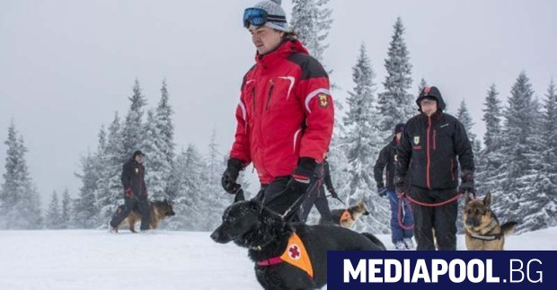 Турист е загинал в района на връх Жълтец в Стара