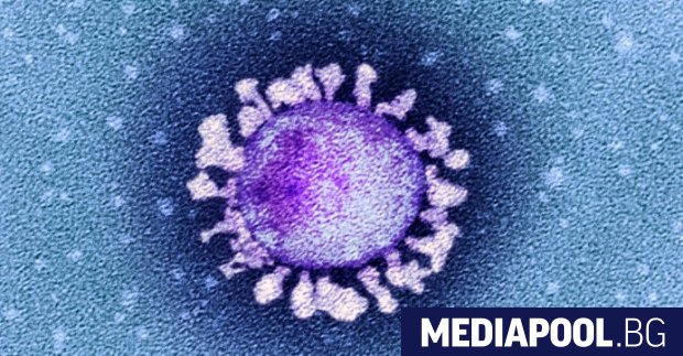 Нови 535 случая на коронавирусна инфекция са открити в страната