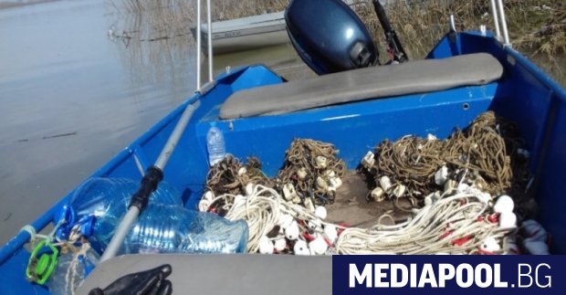 Забраната за улов на есетрови риби в българската акватория на