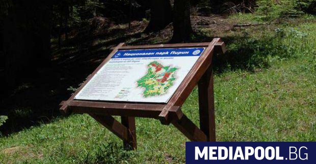 Евросубсидиите за паша вредят на биоразнообразието в националните паркове алармира