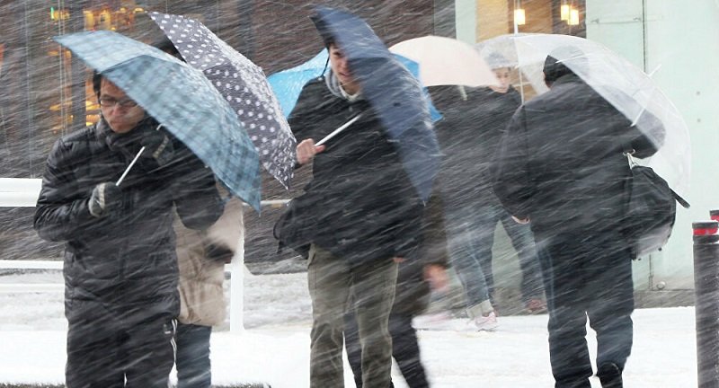 Над 500 полета са отменени в Япония заради снежна буря
