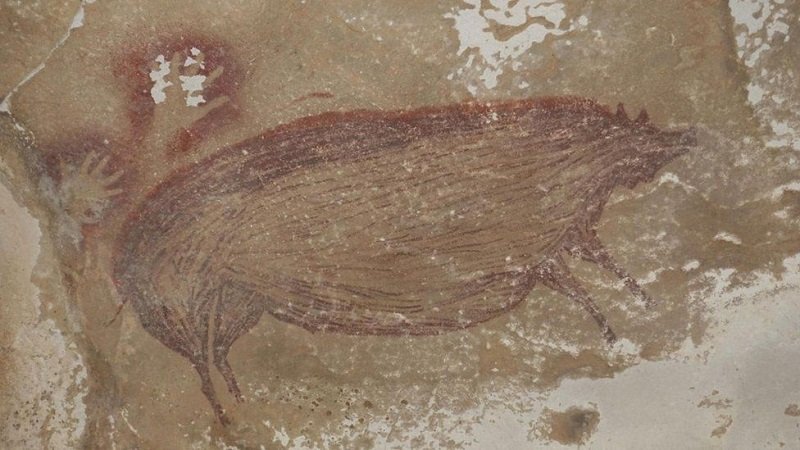 Най-старата човешка рисунка е на дебело диво прасе