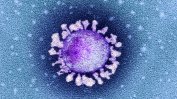 Нов тест измерва имунитета срещу коронавируса преди и след поставянето на ваксина