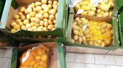 Фермери готвят сигнал до прокуратурата за измами с картофи