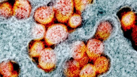 Британският вариант на коронавируса предизвиква повече кашлица и по-малко загуба на обонянието