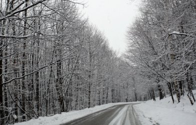 Снеговалежът затвори временно пътищата Драгалевци - Алеко и Бояна - Златните мостове