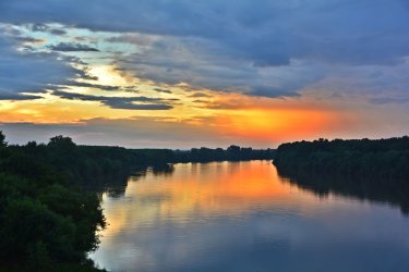 Няма опасност от преливане на Дунав в българския участък