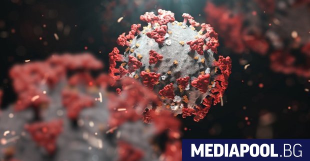 Силно заразният вариант на новия коронавирус, открит за пръв път