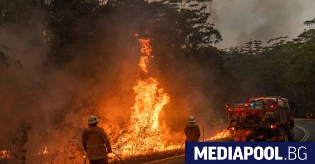 Над 70 жилища са унищожени от горския пожар бушуващ край