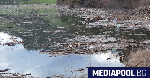 Плаващо нерегламентирано сметище от клони дънери храстова растителност пластмасови опаковки