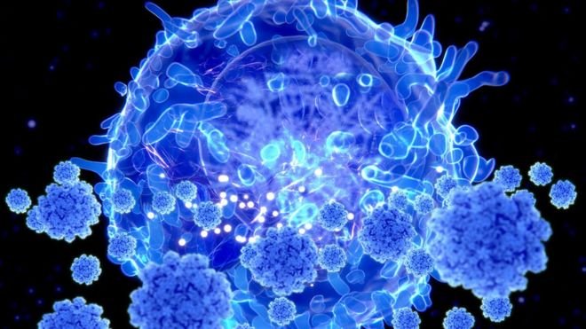Британският вариант на вируса 10 пъти по-лесно се съединява с рецепторите на клетките