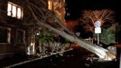Силна буря в Бургаско отнесе покриви и изкорени дървета